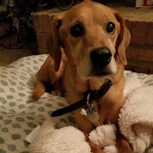 Meet your Posher, Jerry